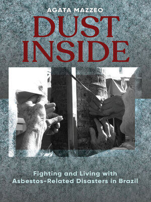 cover image of Dust Inside